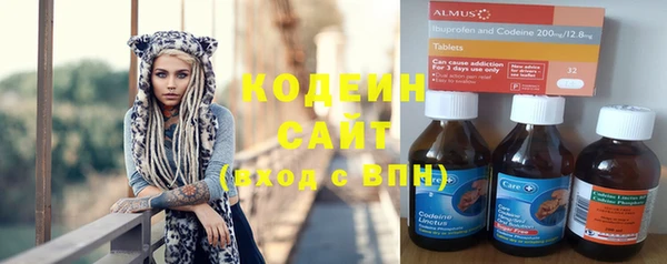 хмурый Арсеньев