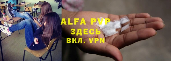 эйфоретик Пролетарск