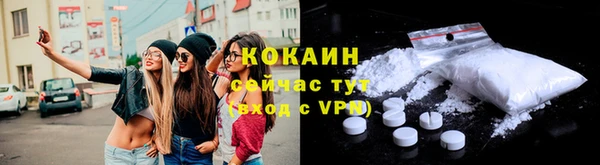 хмурый Арсеньев