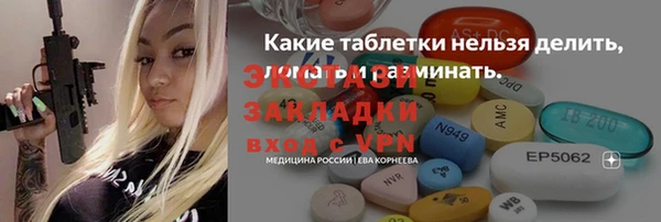 хмурый Арсеньев