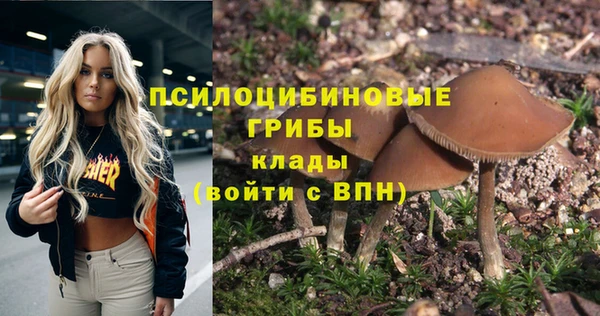 винт Протвино