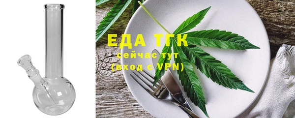 хмурый Арсеньев