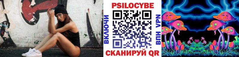 Псилоцибиновые грибы Psilocybine cubensis  Баймак 